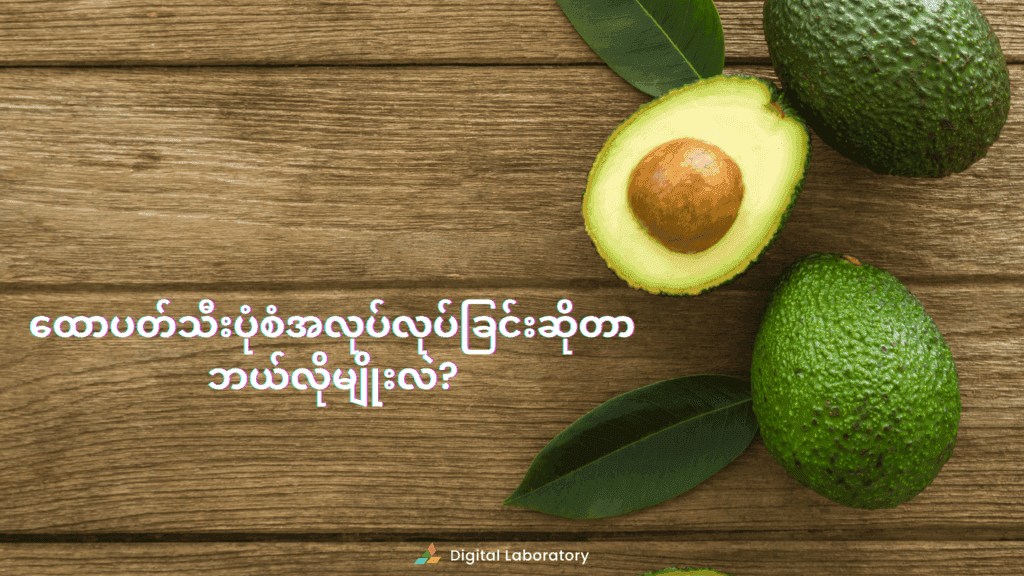 Avocado.png